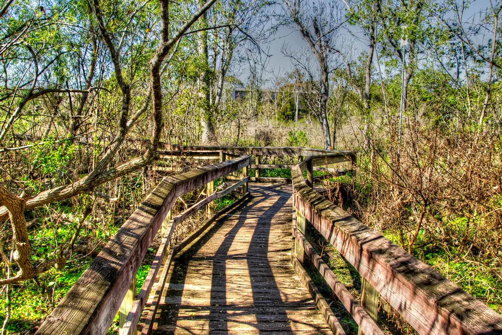Pasarela de madera entre la vegetación del Mead Botanical Garden